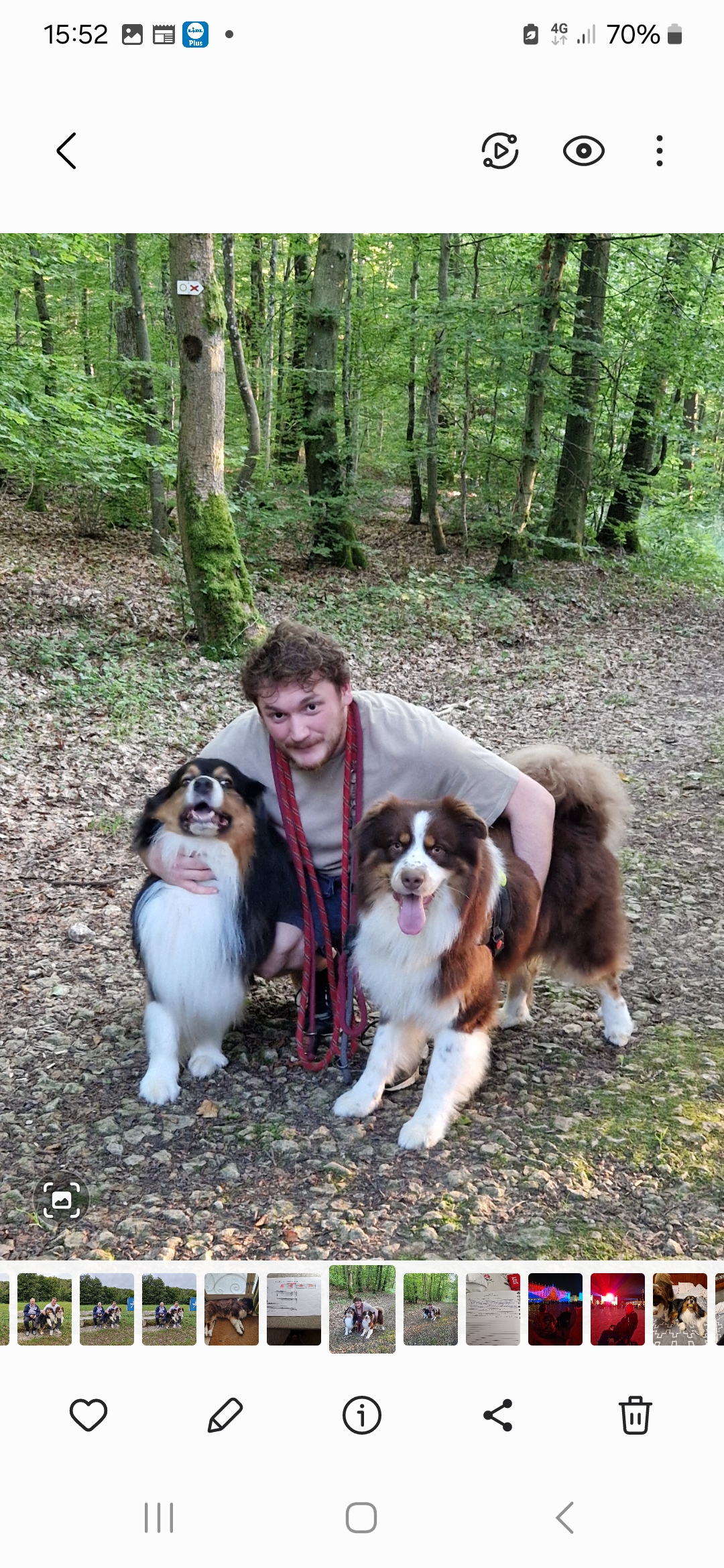 Maxime avec Nino et Uther, ses bergers australiens